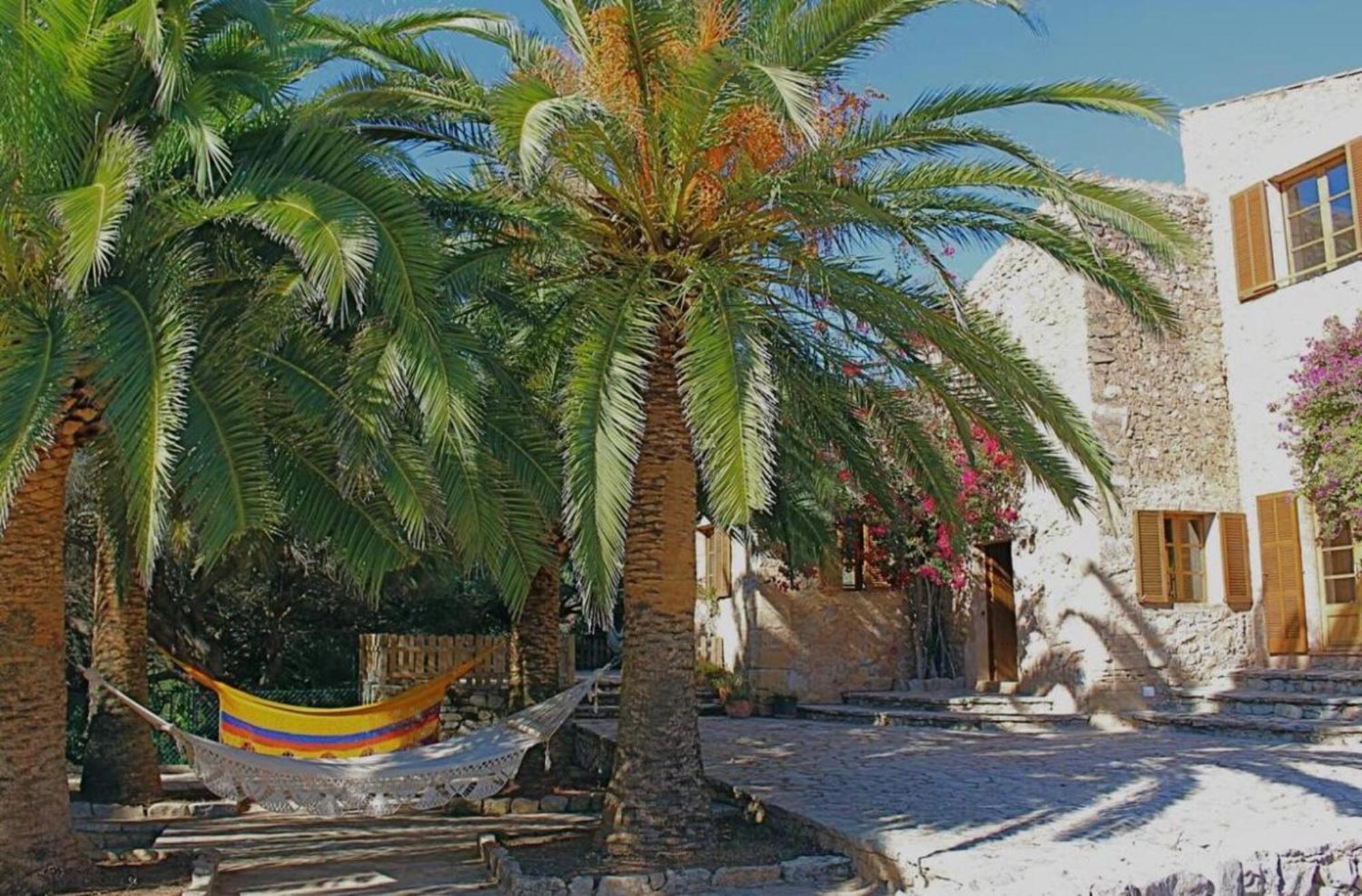 Sa Mesquida De D'alt Villa *